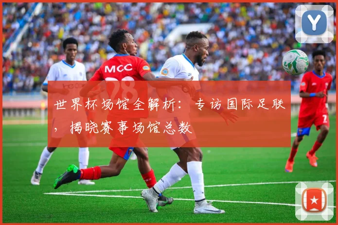 世界杯场馆全解析：专访国际足联，揭晓赛事场馆总数