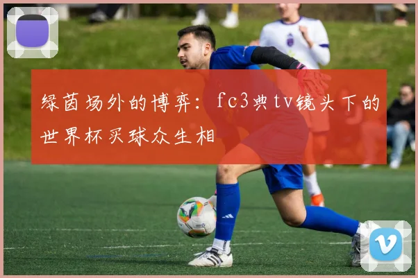 绿茵场外的博弈：fc3典tv镜头下的世界杯买球众生相