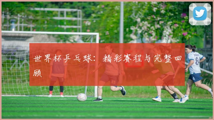 世界杯乒乓球：精彩赛程与完整回顾