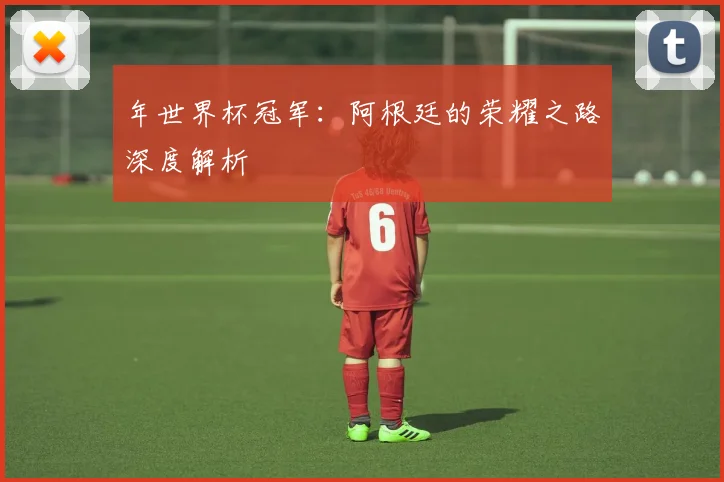 年世界杯冠军:阿根廷的荣耀之路深度解析