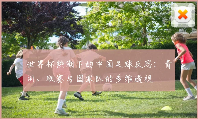 世界杯热潮下的中国足球反思：青训、联赛与国家队的多维透视