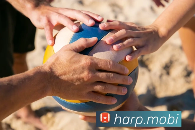 开云在线官网登录app发展历程