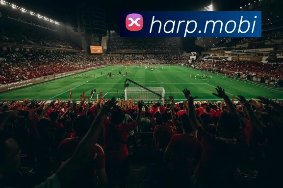 冬奥会单板滑雪冠军装备解析:顶级战袍与雪板科技揭秘